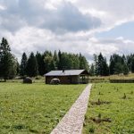 A scenic view of a countryside house surrounded by lush greenery and clear skies.